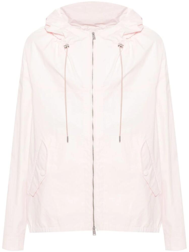 Lanvin poplin cotton windbreaker - Pink Cover