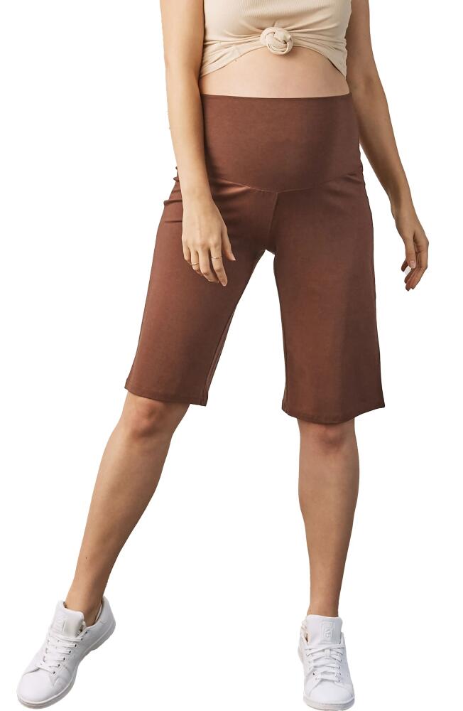 Angel Maternity Wide Leg Knit Maternity Shorts in Brown Cover