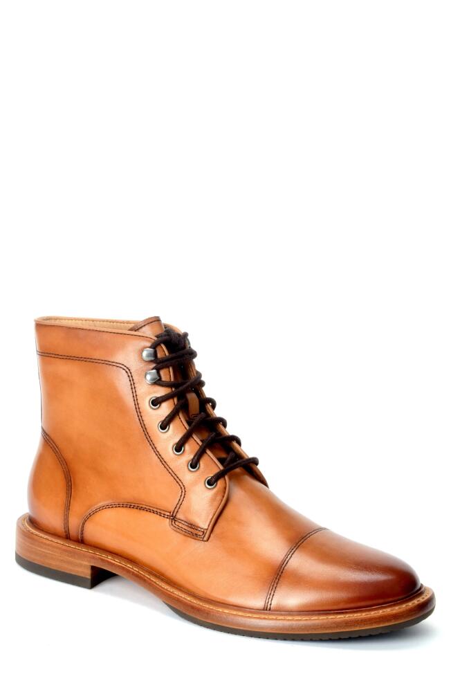 Warfield & Grand Ballast Cap Toe Lace-Up Boot in Honey Cover