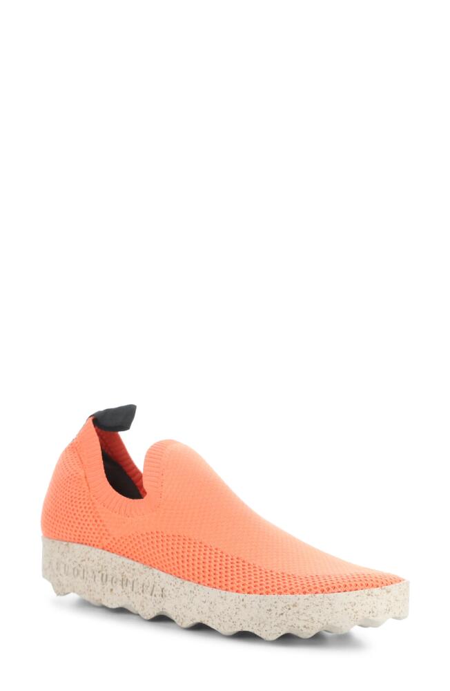 Asportuguesas by Fly London Clip Slip-On Sneaker in Coral Recycled Knit Cover