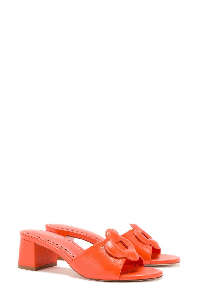 Larroudé Flora Slide Sandal in Orange Cover