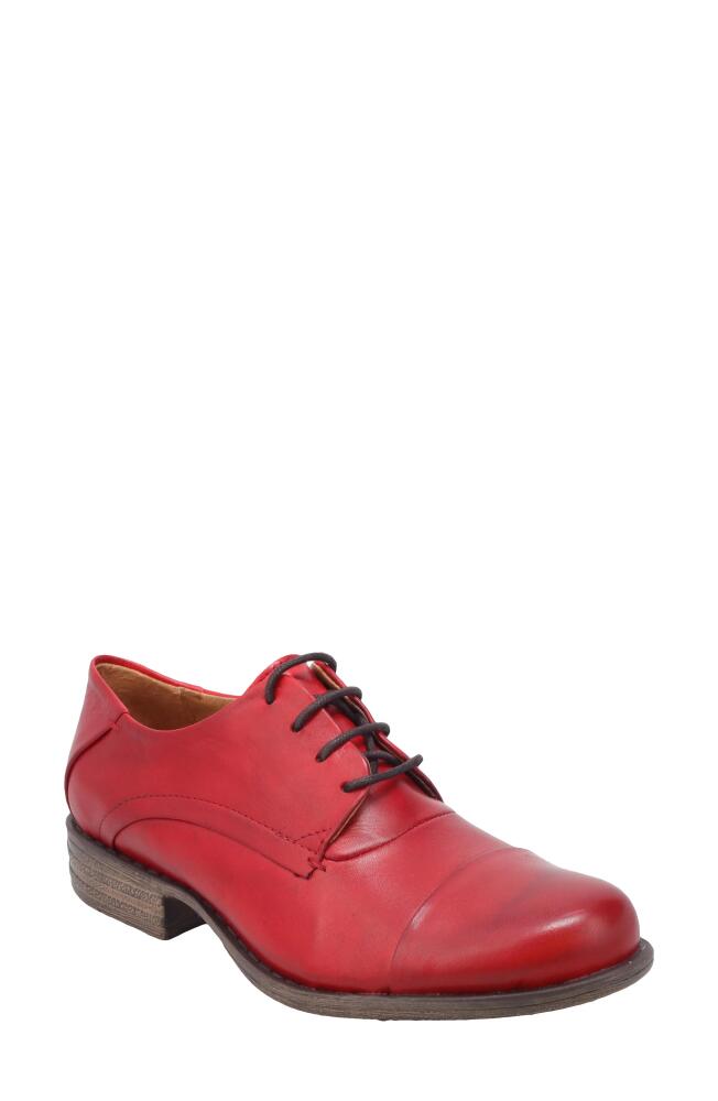 Miz Mooz Letty Oxford Flat in Red Cover