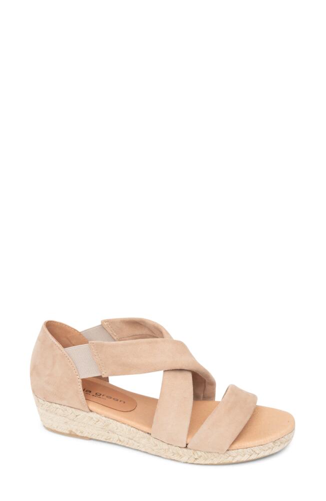 patricia green Eliza Platform Wedge Espadrille Sandal in Taupe Cover