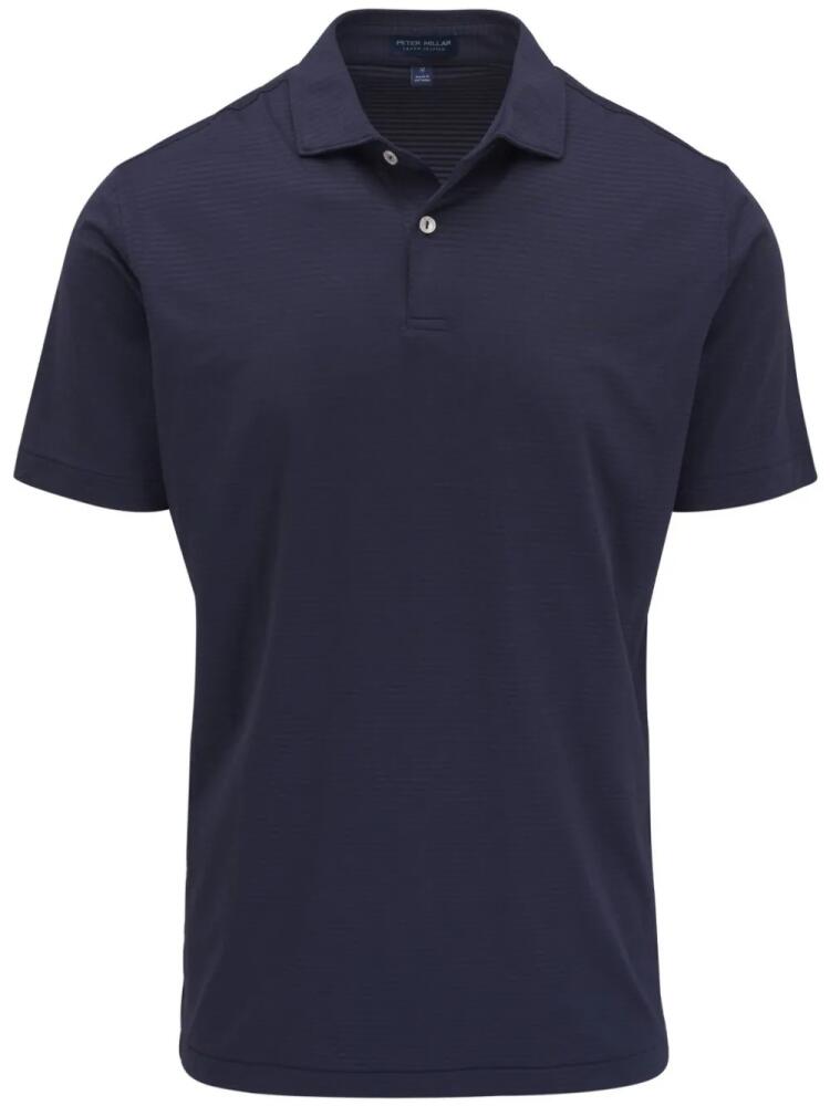 Peter Millar striped polo shirt - Blue Cover