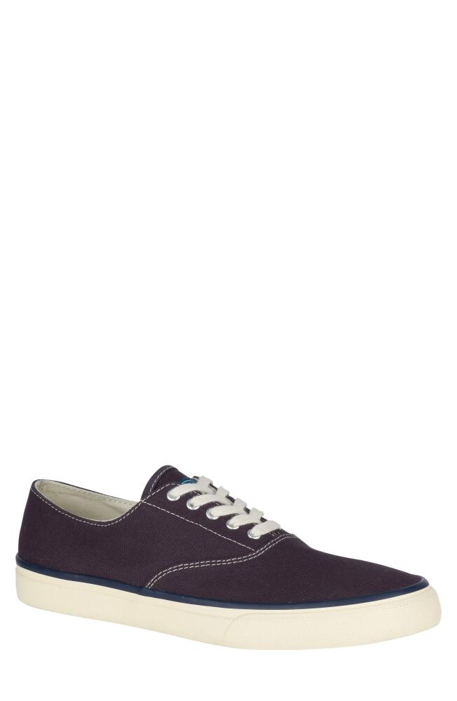 Sperry 'Cloud CVO' Sneaker in Navy Blue Cover