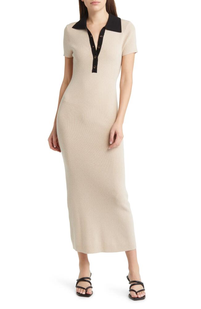 Sophie Rue Collared Rib Knit Dress in Tan Black Cover