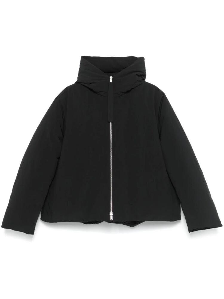 Jil Sander hooded jacket - Black Cover